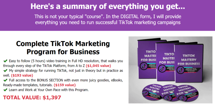 What You Get From TikTok Mastery For business 